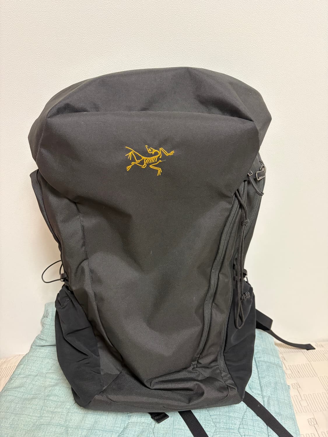 아크테릭스 맨티스30 상품이미지1