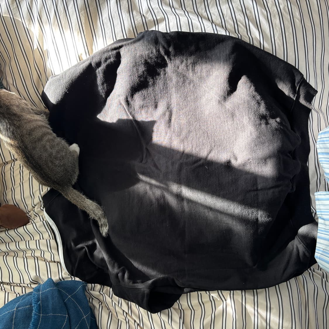 1993STUDIO 검정 맨투맨(free) 상품이미지5