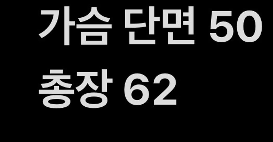 [ 정품/M ] 버버리 반팔 카라티 b15 상품이미지6