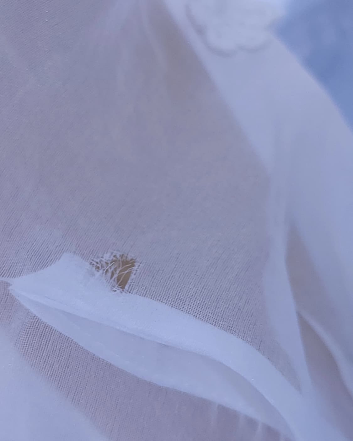 오간자블라우스 상품이미지10
