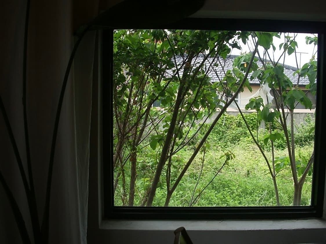 Pentax Optio S55 옵티오 디카 카메라 상품이미지2