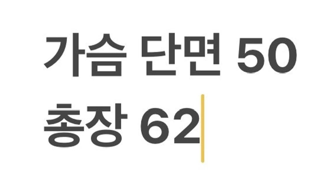 [정품/85] 노스페이스 서밋 시리즈 고어텍스 자켓 b10 상품이미지9