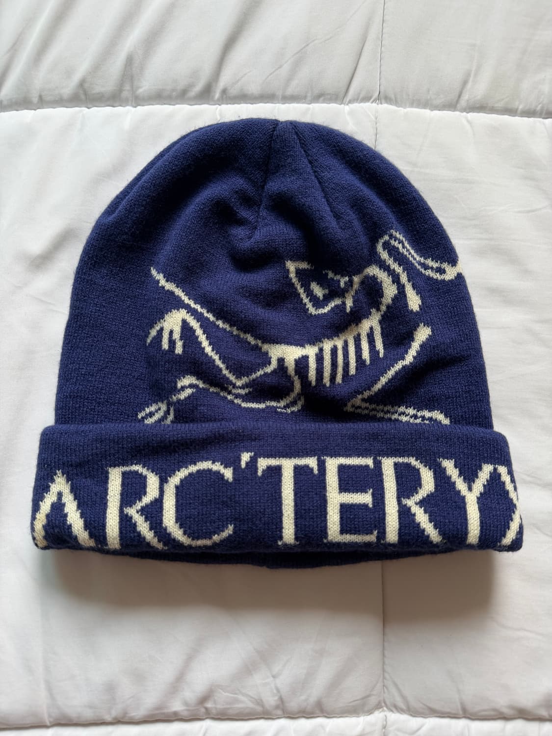 아크테릭스 버드 워드 토크 비니 상품이미지1