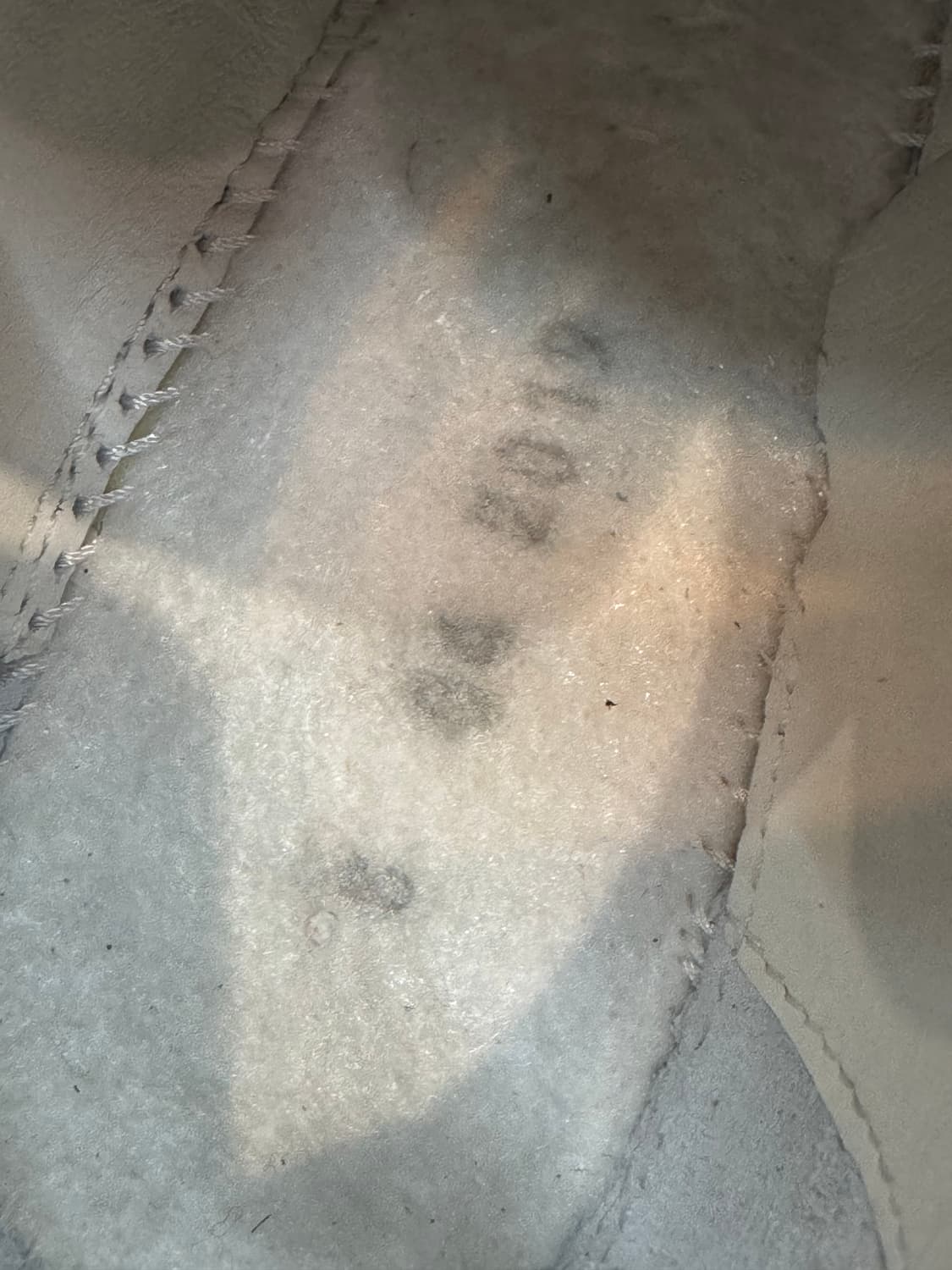지미추 레인 CHOO 로고 스니커즈 225 상품이미지7