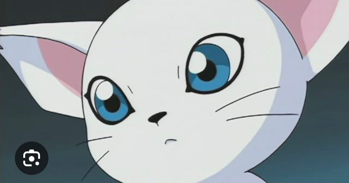 (구함) 폴리테루 스웻팬츠 2.0 네이비 1사이즈 상품이미지1