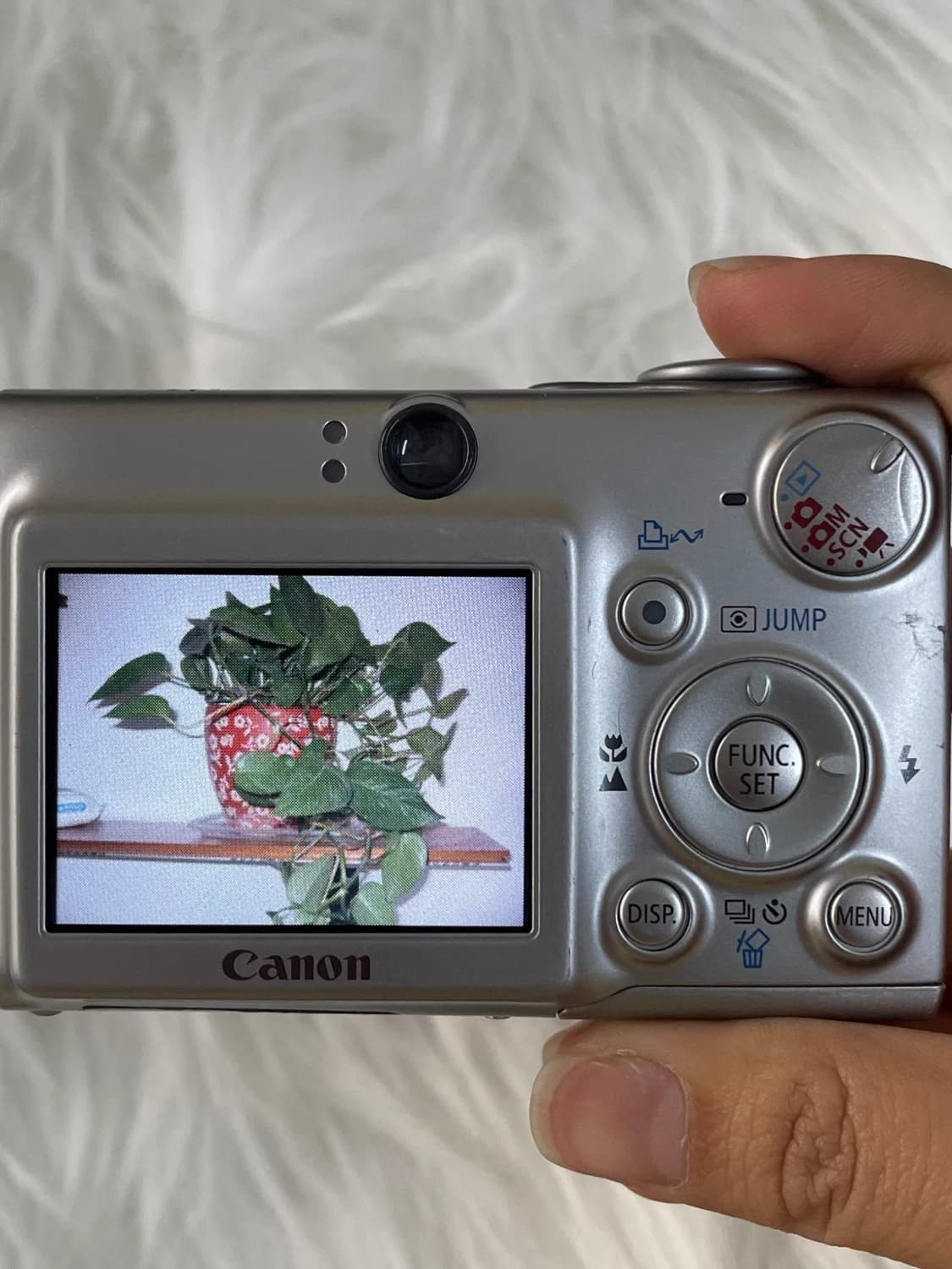 캐논 익시 600 (캐논 익서스 700 IXUS 700) 빈티지 디카 상품이미지10