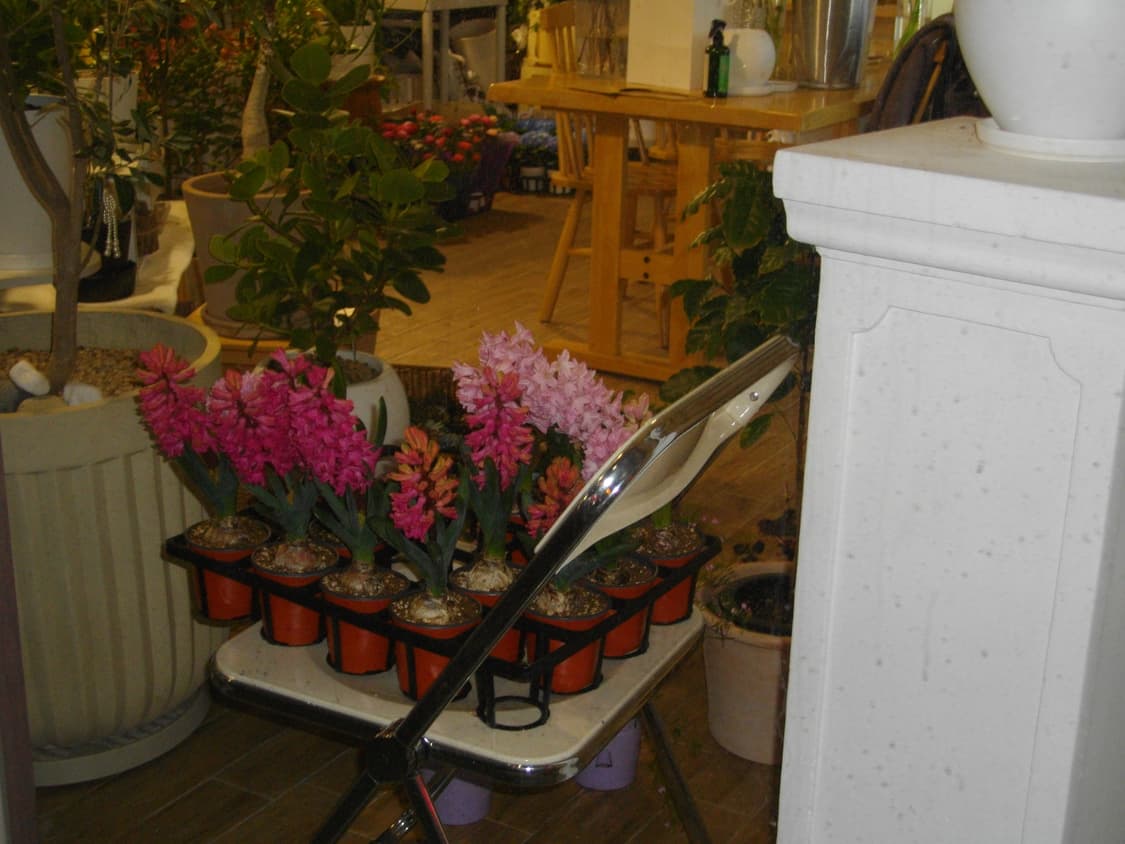 정크상품/내용필독🌟) Pentax Optio E80 상품이미지9