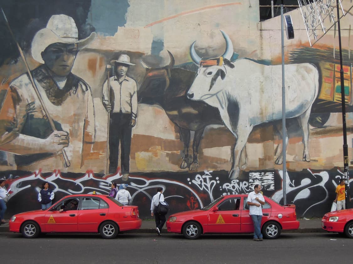 Casio Exilim EX-Z100 (카시오 엑슬림 EX-Z100) 상품이미지8