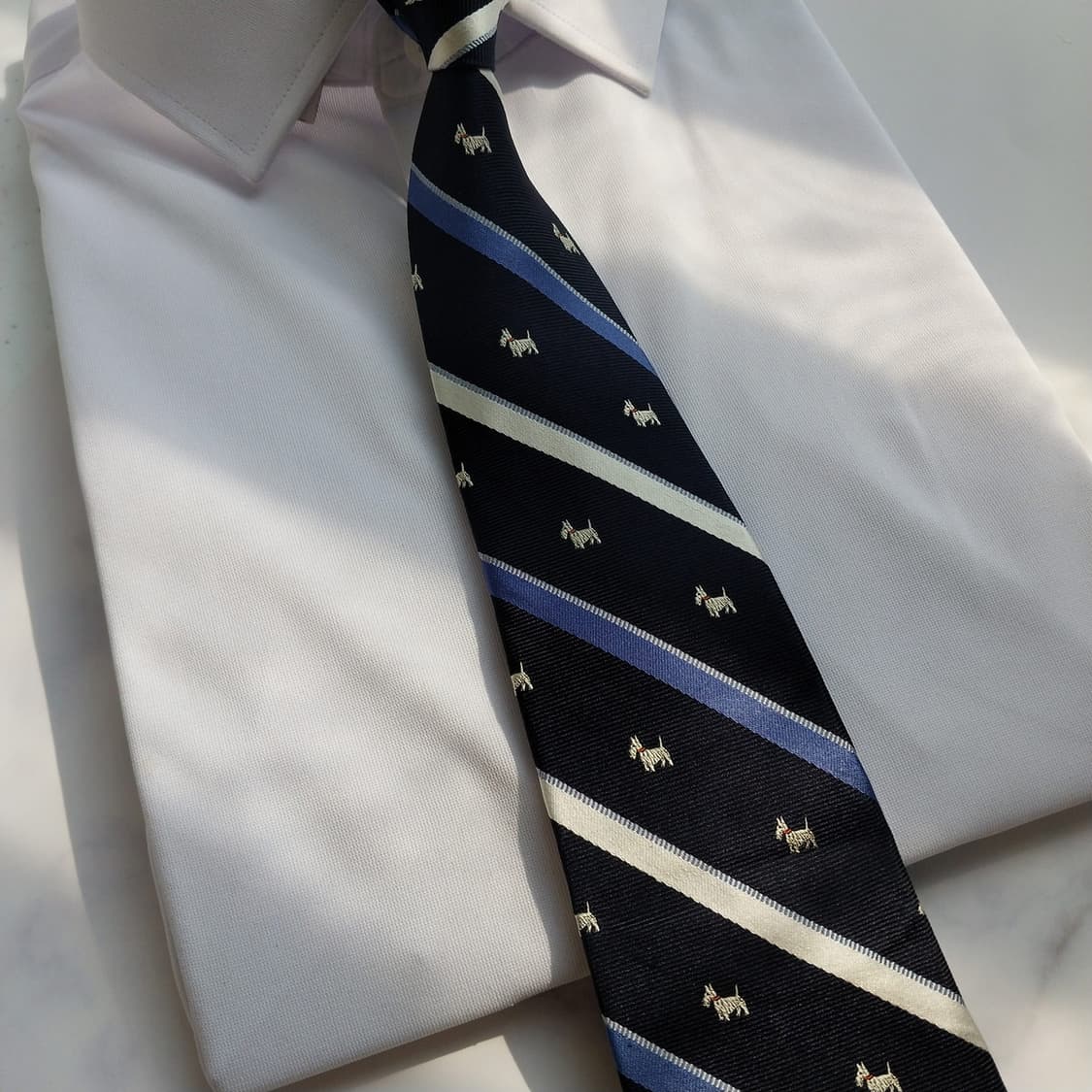 챕스 실크 네이비 강아지 패턴 넥타이 8.5cm A+등급 K945
 상품이미지8