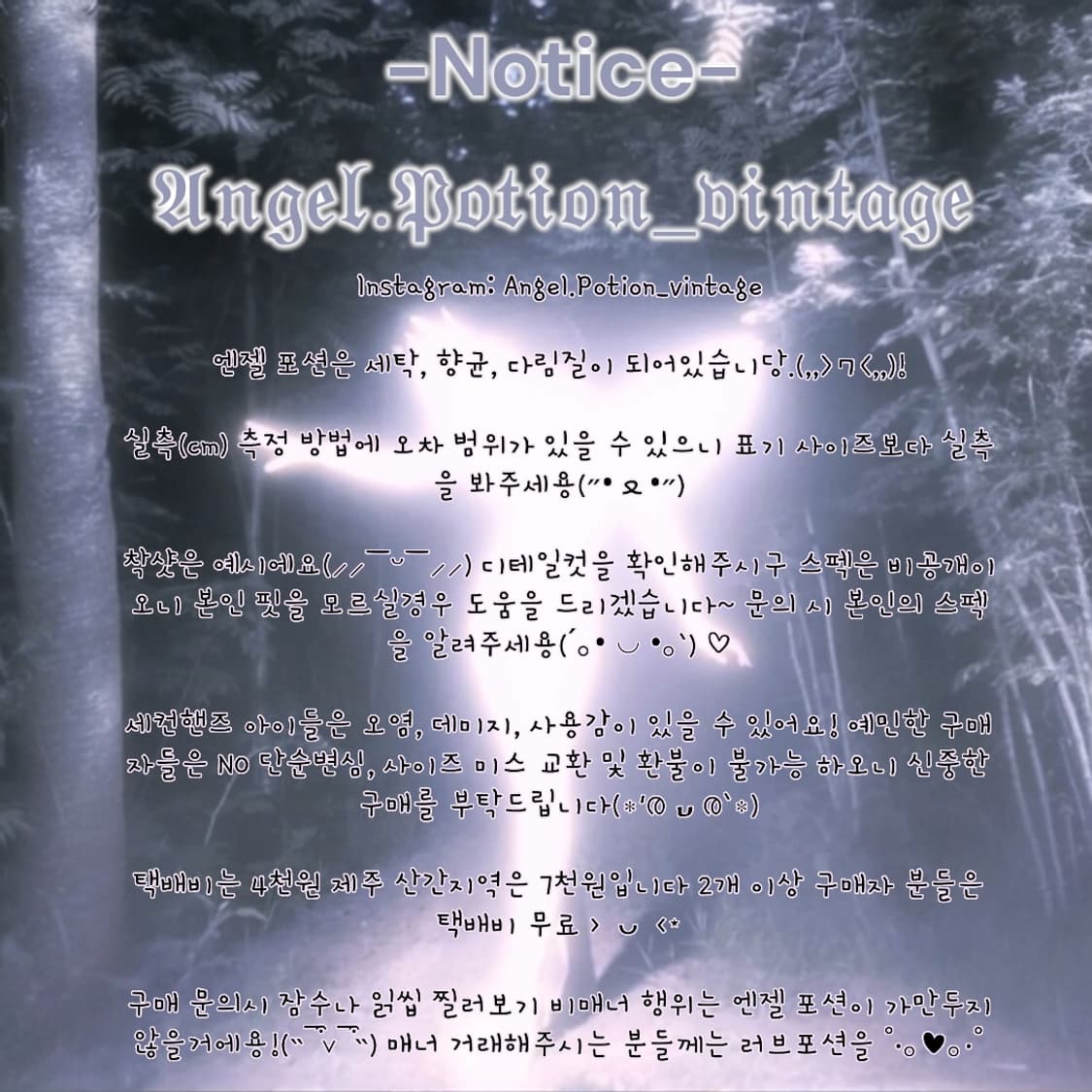 나이키 스우시 나일론 반바지 상품이미지7