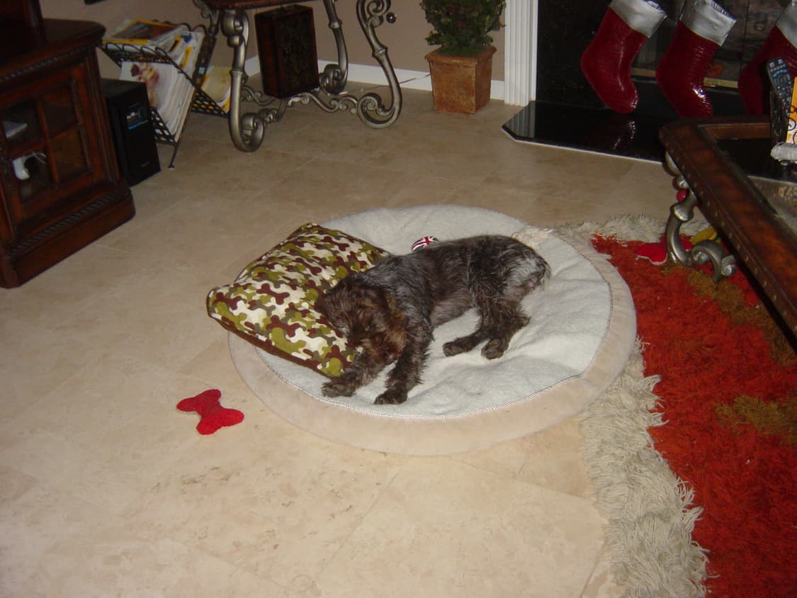 소니 사이버샷 S85 빈티지 디지털카메라 상품이미지9