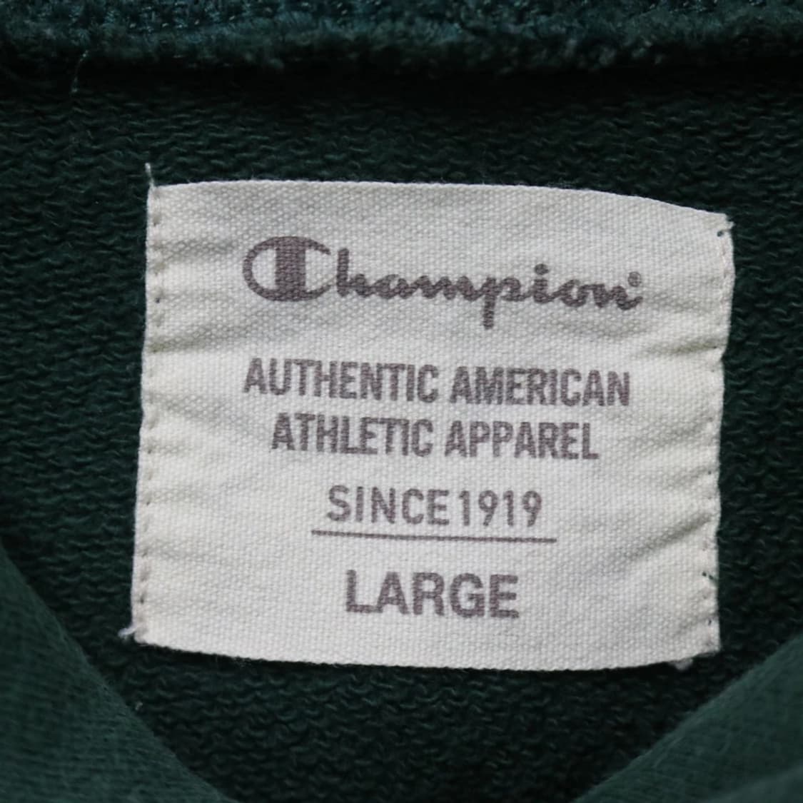 챔피온 인디안 프린팅 후드티 61778 상품이미지9