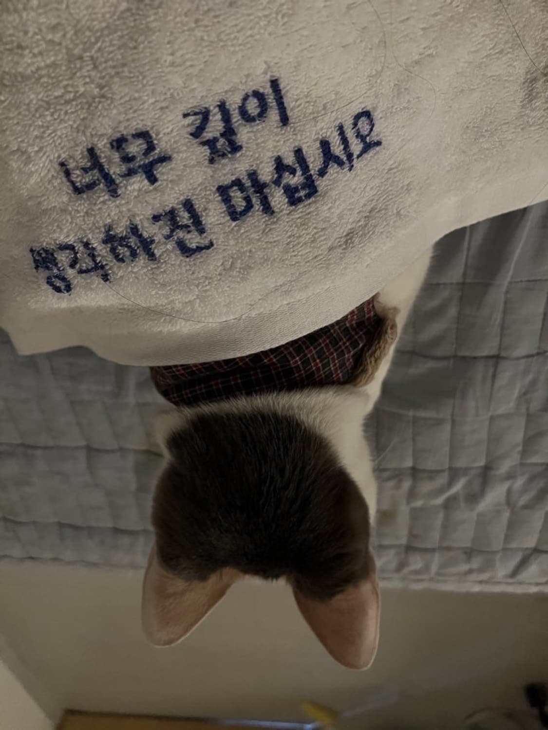 ALL ITEMS 20% SALE‼️ 상품이미지1