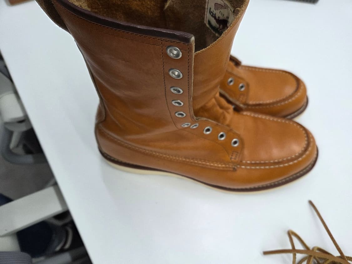 레드윙 9877 아이리쉬세터 9.5 d  상품이미지8