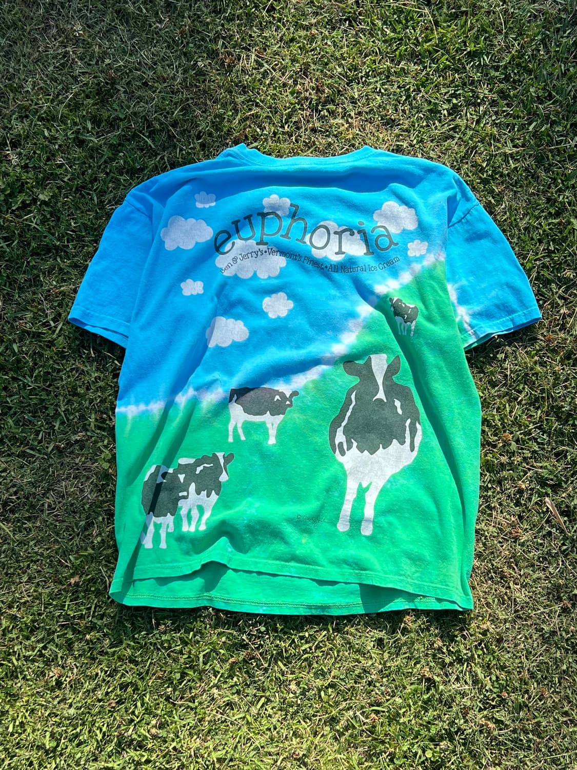 Ben&jerrys Anvil 00s T shirt 상품이미지2