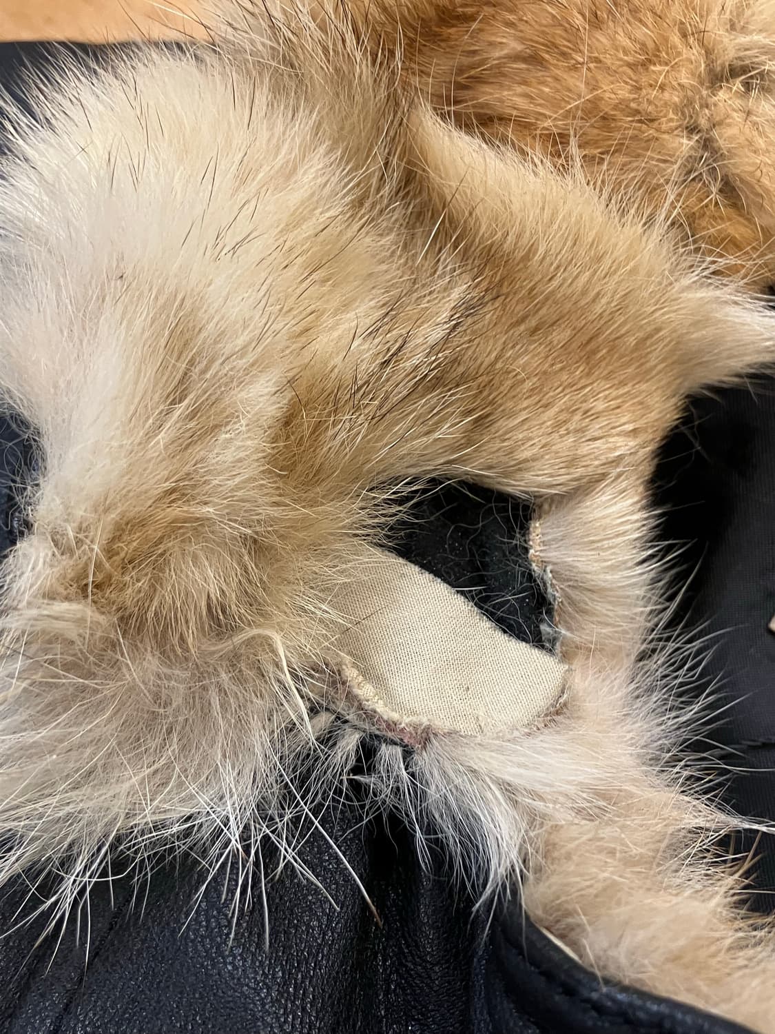 양가죽 퍼 포인트 카라 레더 가죽자켓 블랙 #csz3544 상품이미지5