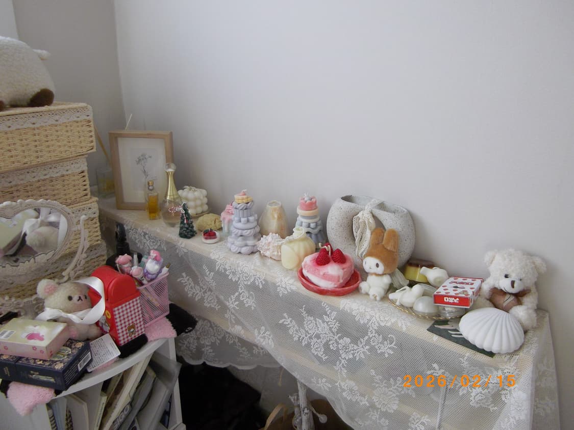 아이브 레이 카메라 펜탁스 옵티오 RS1000 작례o 상품이미지7