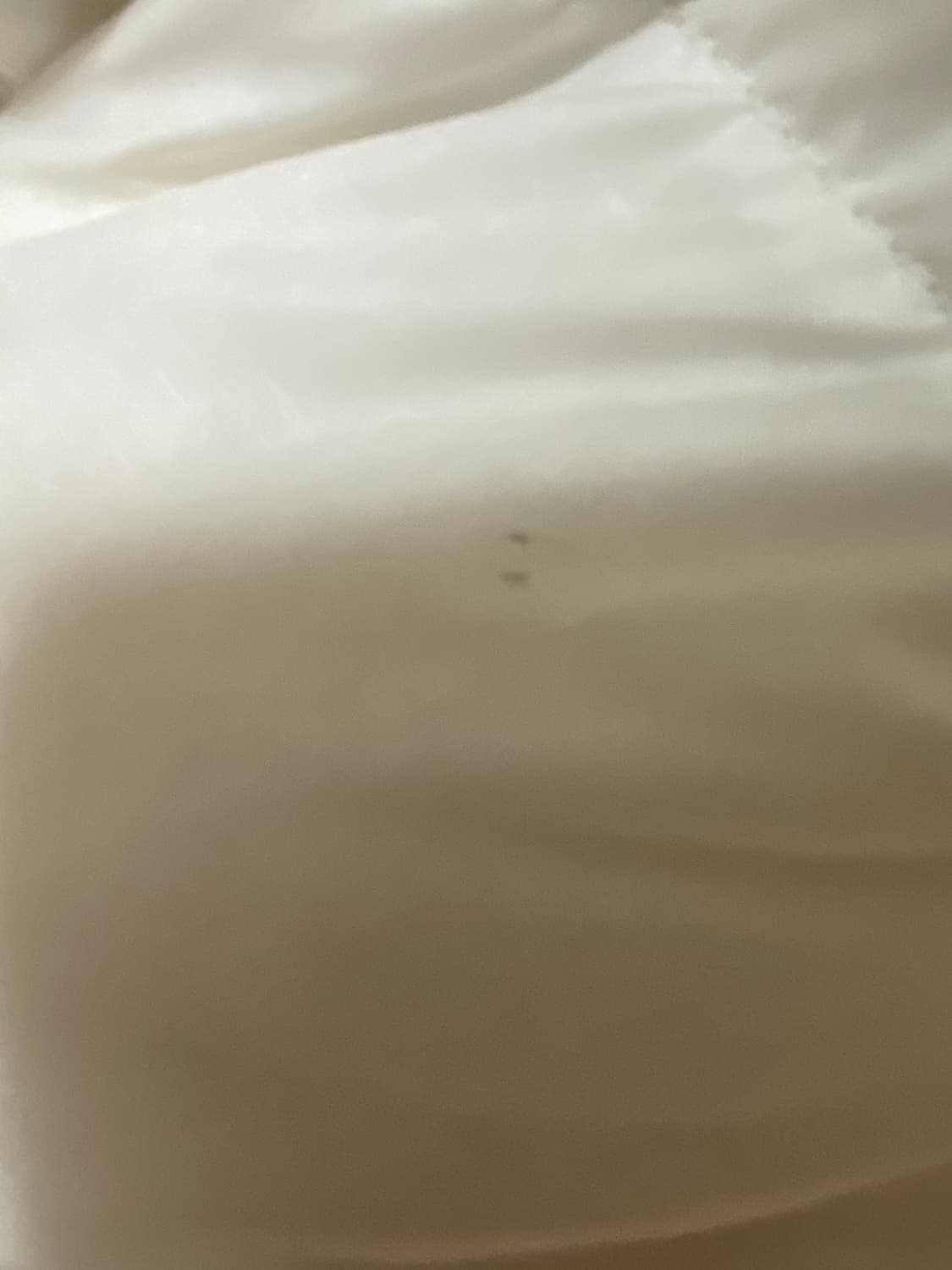 노스페이스 패딩 1996 에코 화이트 상품이미지3