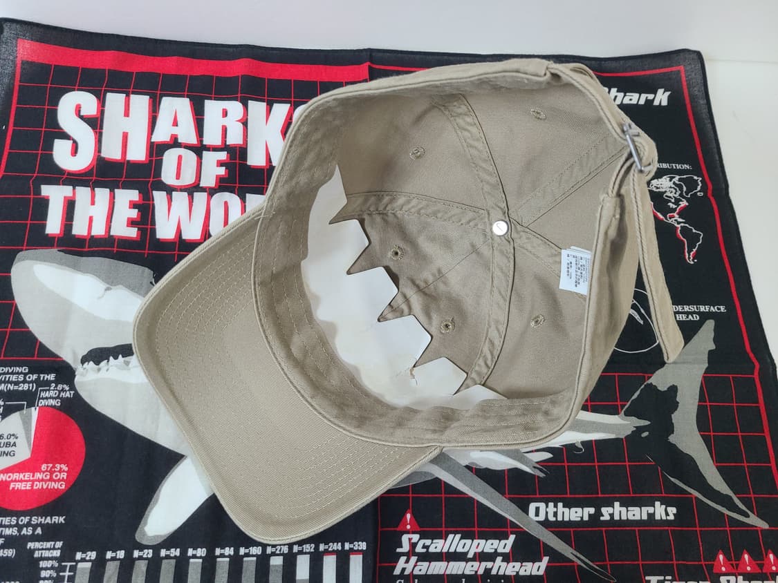 (L XL) (대두) 나이키 베이지 모자 상품이미지6