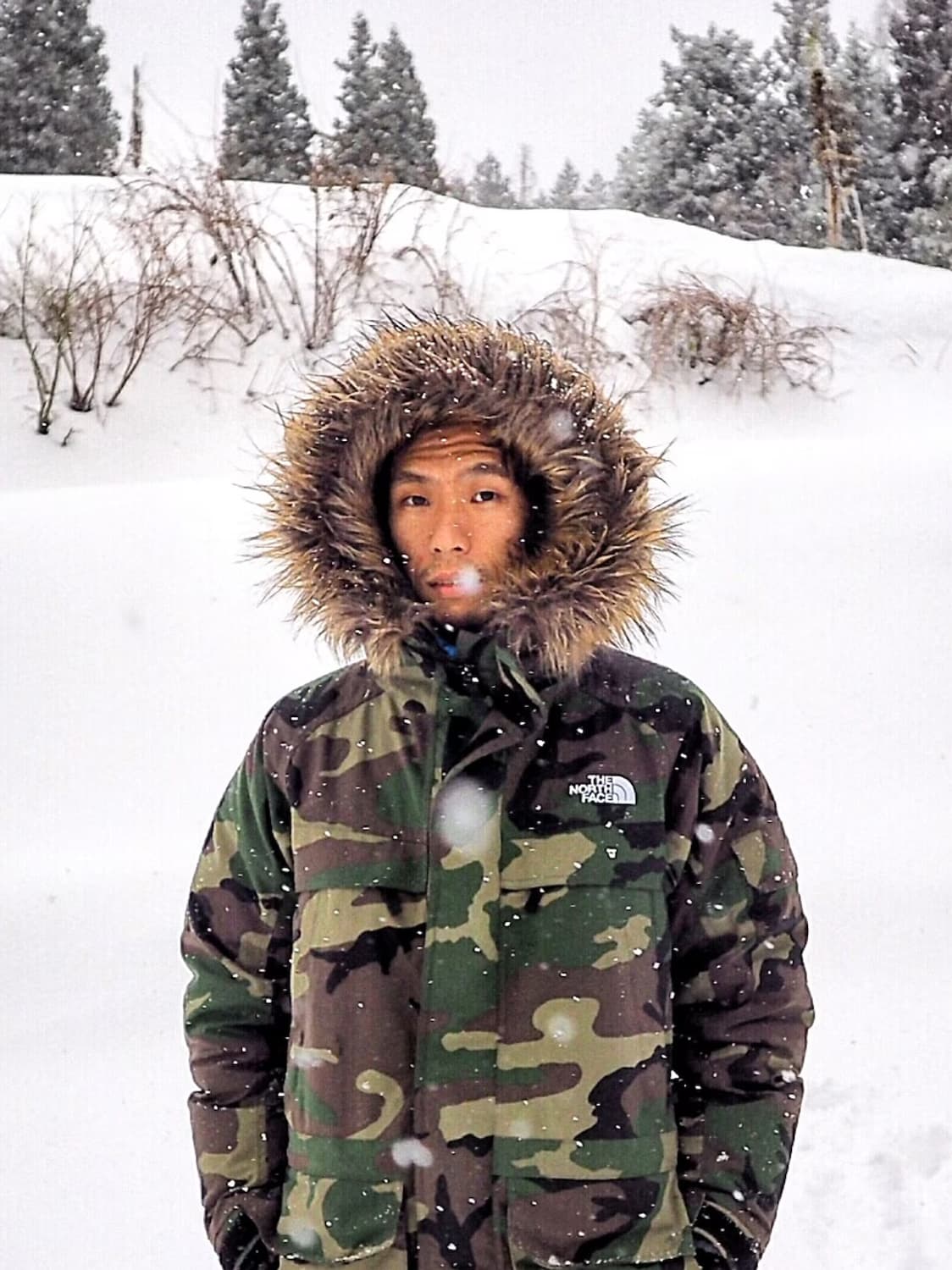 노스페이스 550 카모 밀리터리 우드랜드 맥머도 구스다운 패딩 점퍼 자켓 상품이미지1