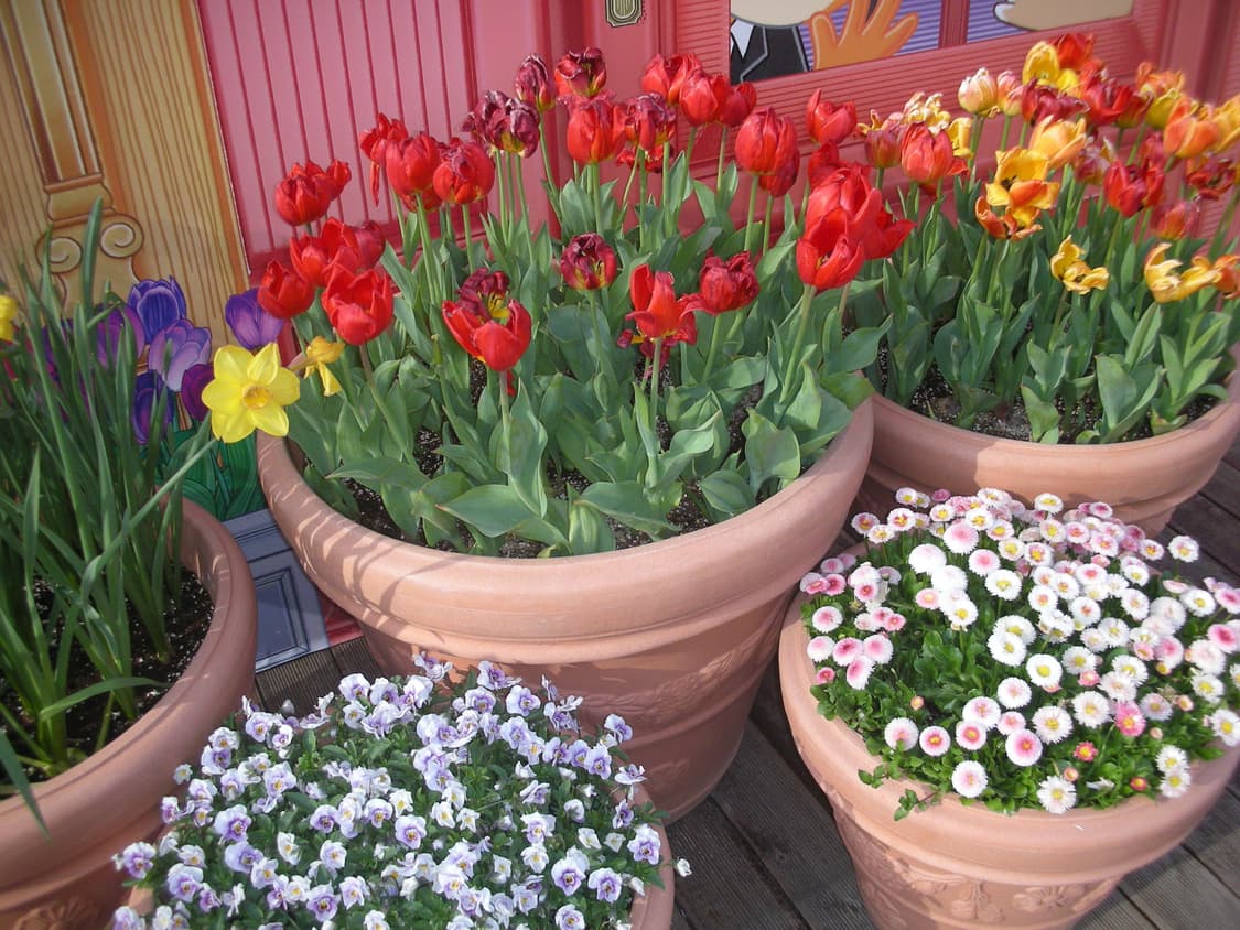 니콘 쿨픽스 팔아요 (베터리, 충전기, 메모리 포함) (작례있습니다) 상품이미지8