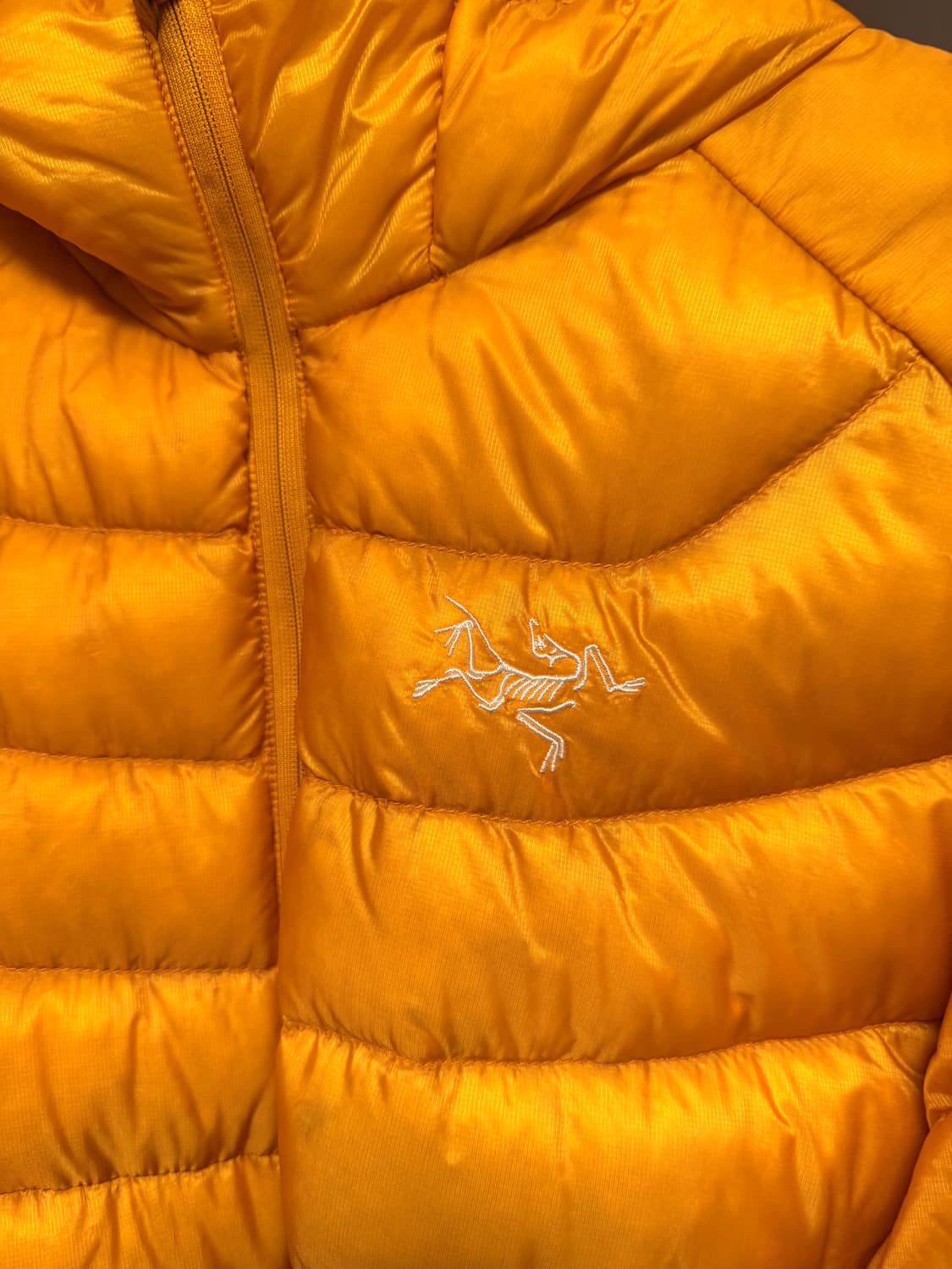 아크테릭스 세륨 lt 후디 여성 상품이미지2