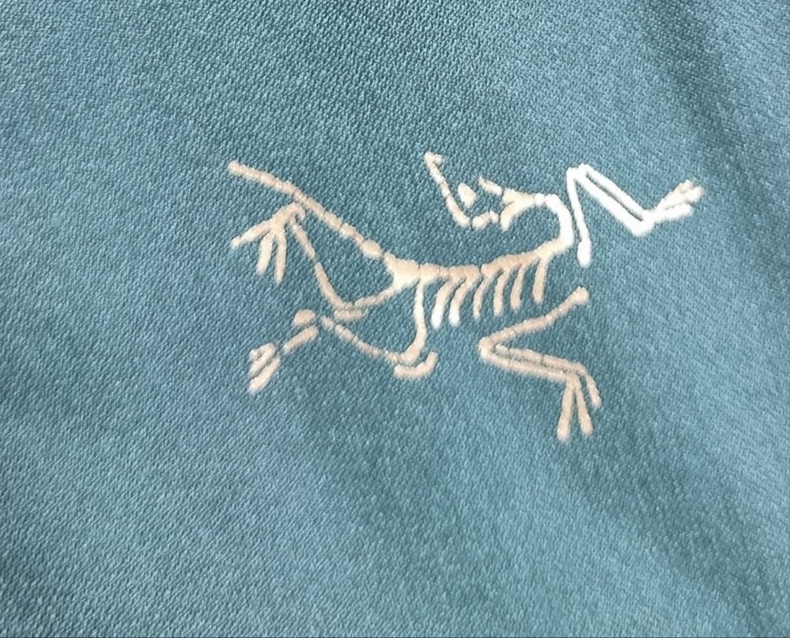 오버핏 L ) 아크테릭스 청록색 약기모 반집업 긴팔티 상품이미지5