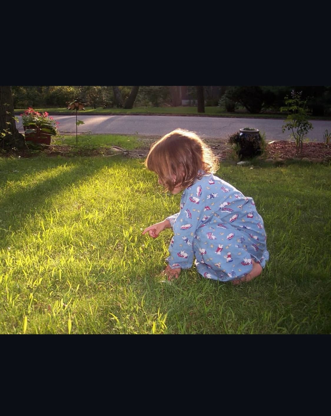 코닥 이지쉐어 c182 디지털카메라 상품이미지8