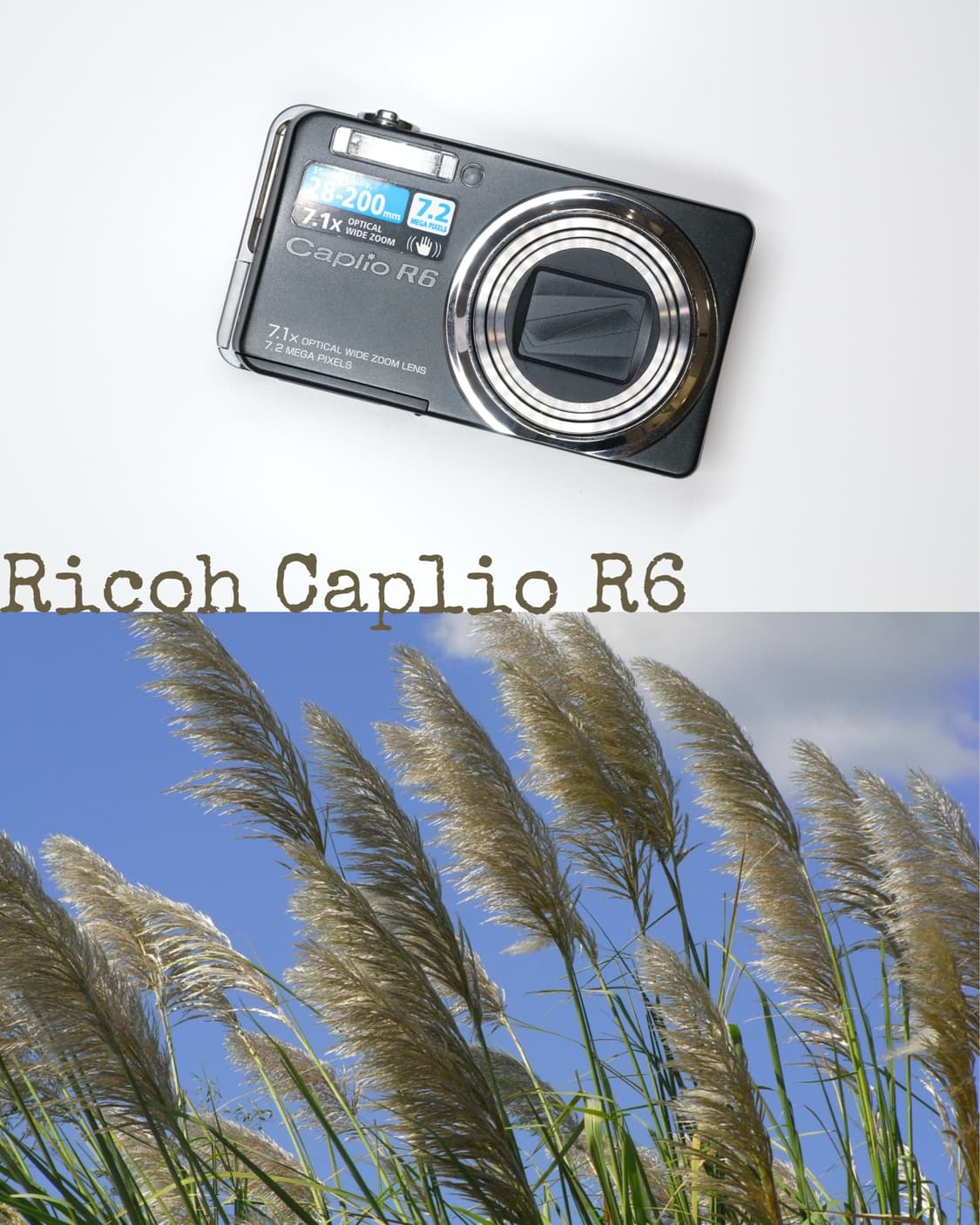 Ricoh R6 상품이미지1