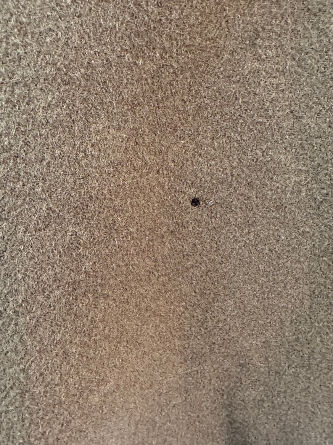 입생로랑 브라운 울집업 상품이미지5