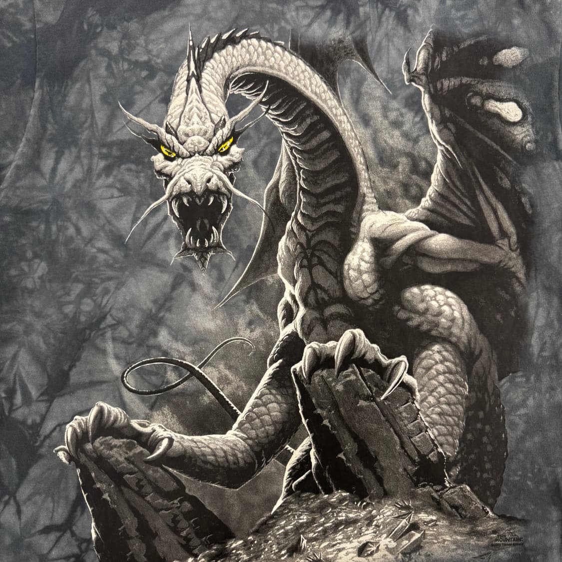 2001년도 Dragon t-shirt 상품이미지2