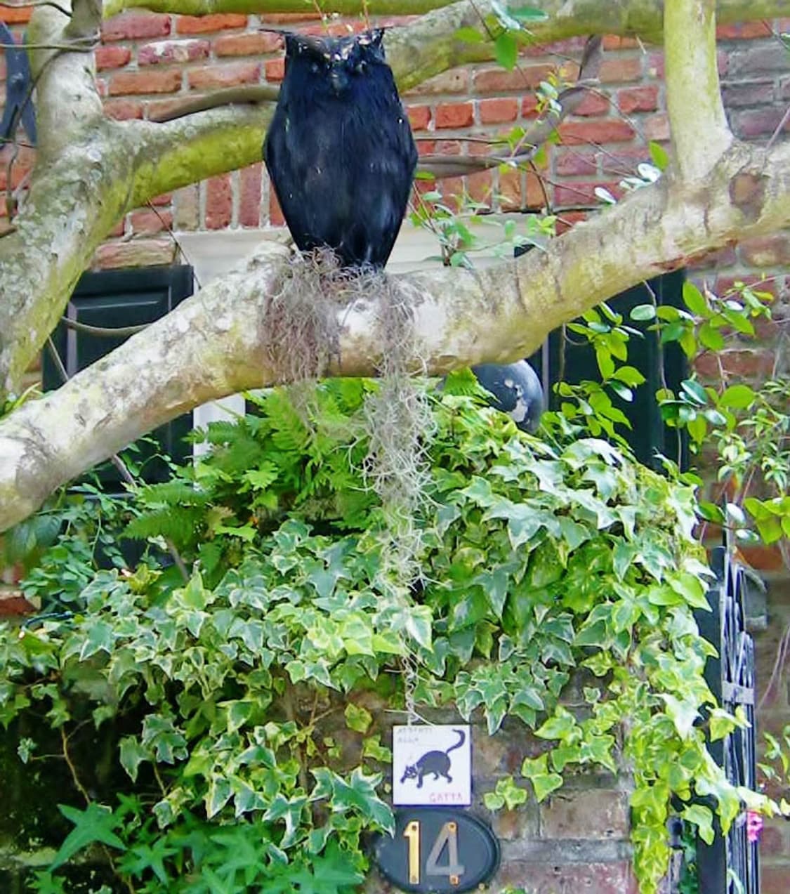 (A급) Nikon coolpix S230 (니콘 쿨픽스 S230)  상품이미지10