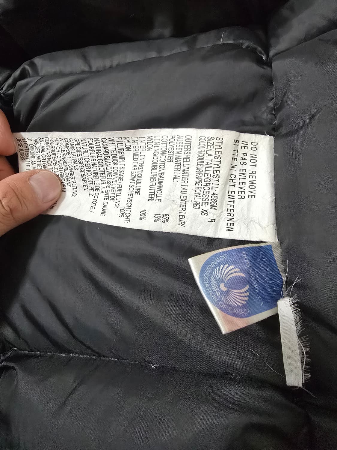 (정품) 캐나다구스 익스페디션 패딩 XS사이즈 (명품 남자 점퍼 자켓) 상품이미지4