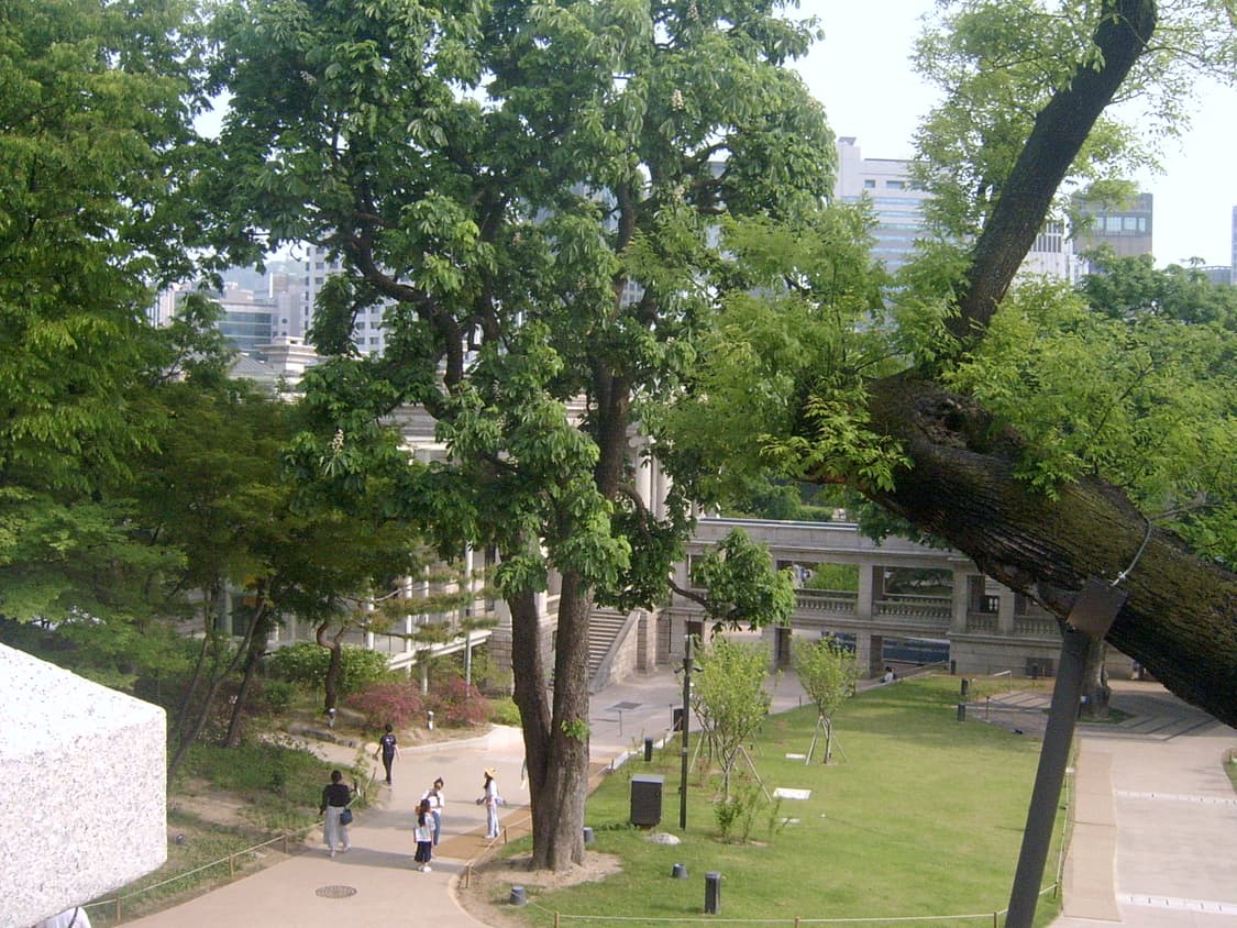 작례 O)삼성 케녹스 캐녹스 디지맥스 V4 상품이미지5