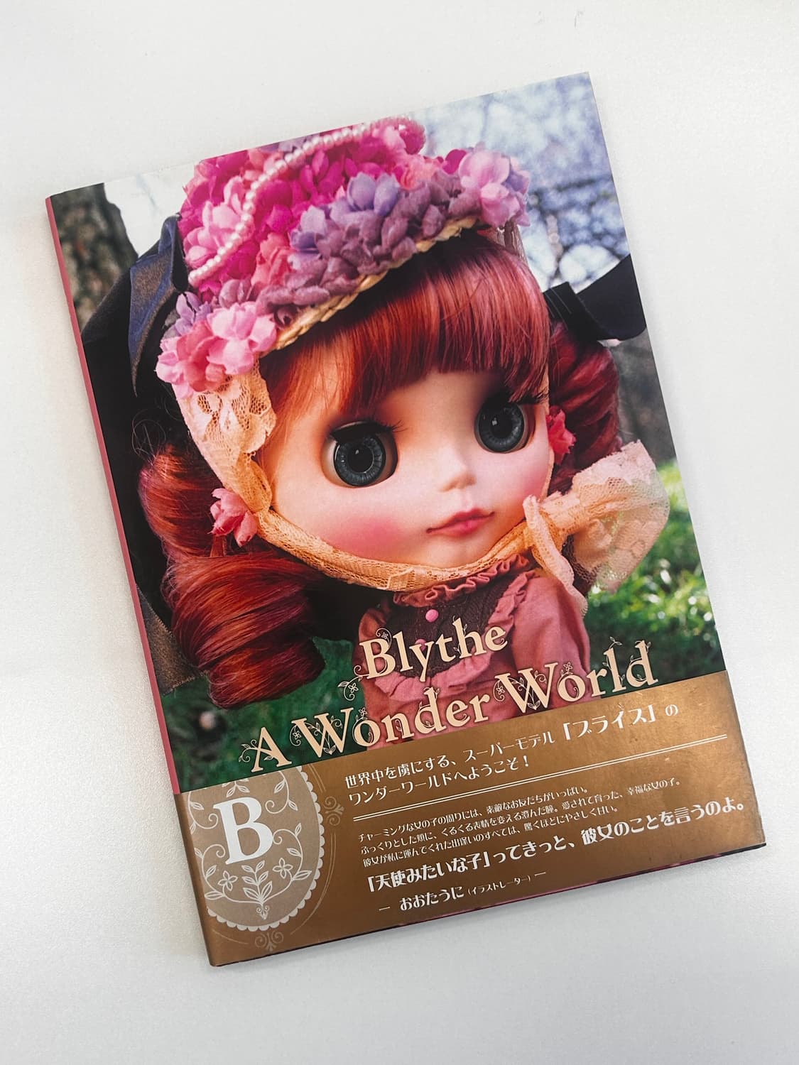 블라이스 브라이스 아트북 A Wonder World 상품이미지1