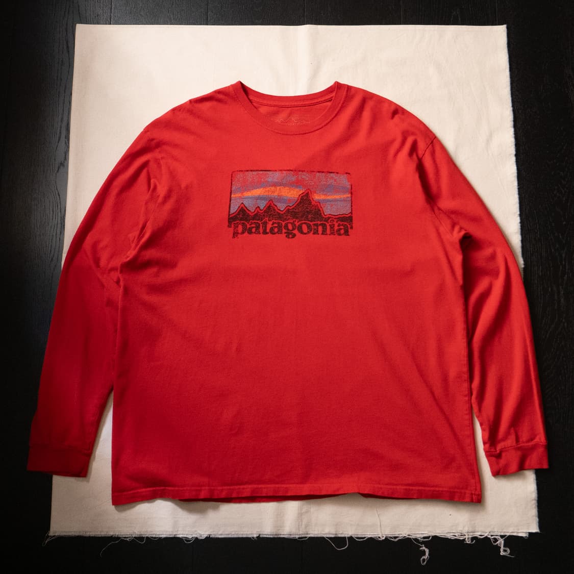 Patagonia ‘Archive Logo’ T /RED (~110) 상품이미지1