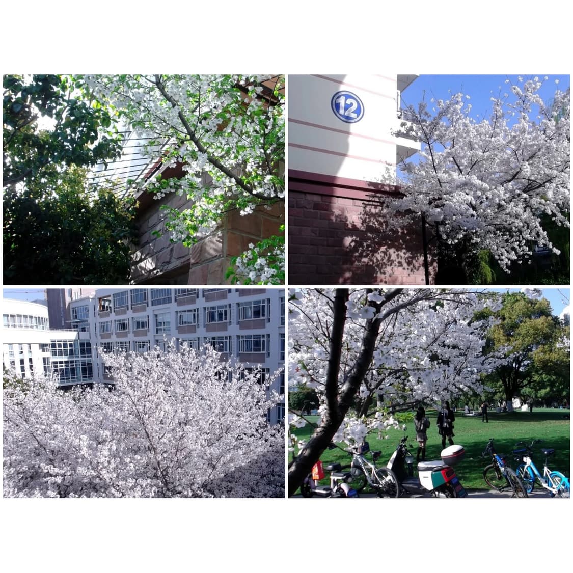 후지필름 파인픽스 JX400 샴페인골드 빈티지디카 상품이미지3