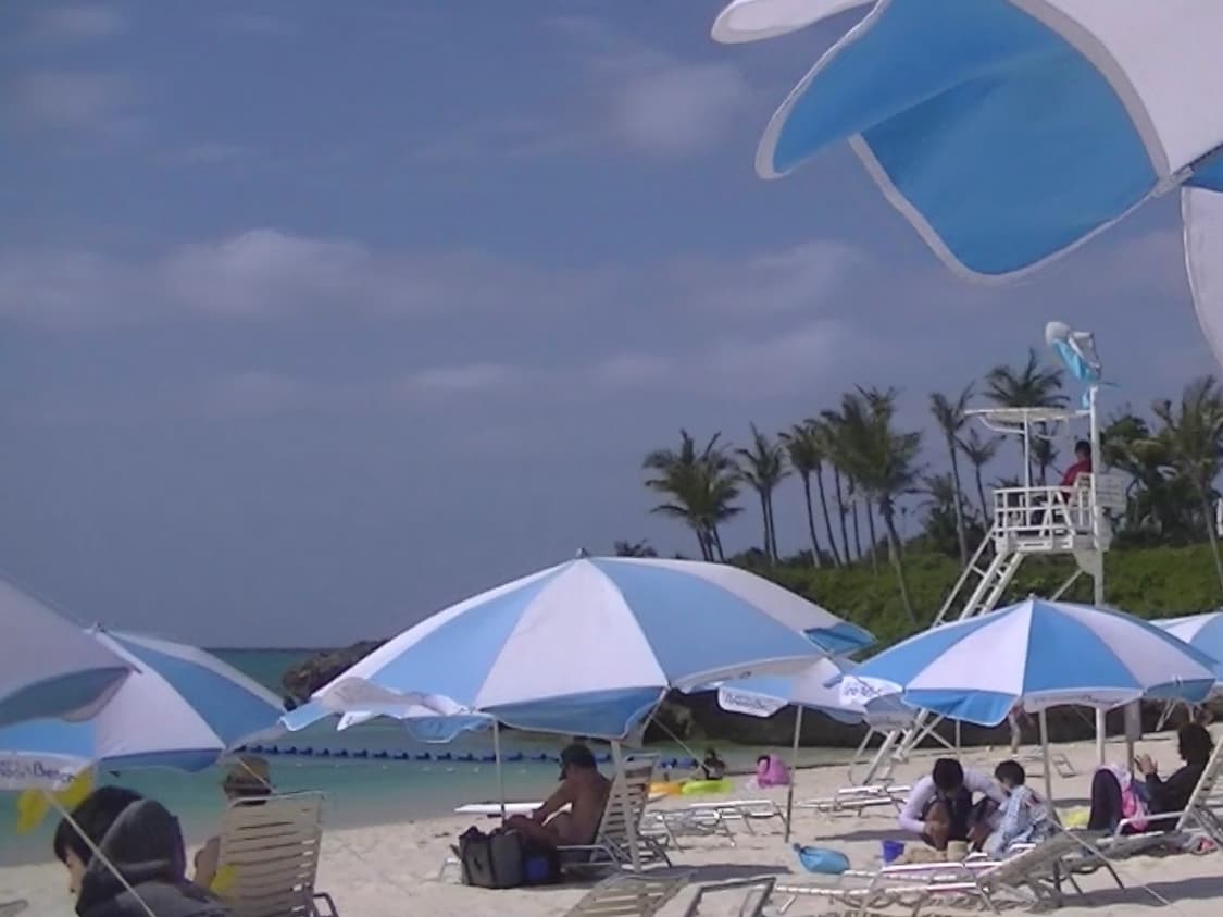 [작례/바로 사용] 산요 작티 DMX-CG65 블랙 상품이미지10