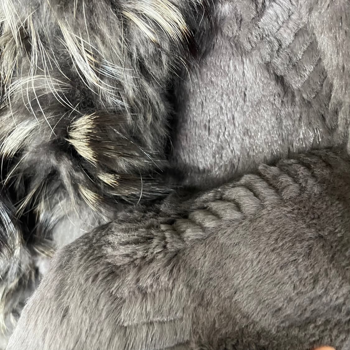 [VTG] 오리엔탈 펑크 래빗,라쿤 오픈 퍼 자켓 상품이미지5