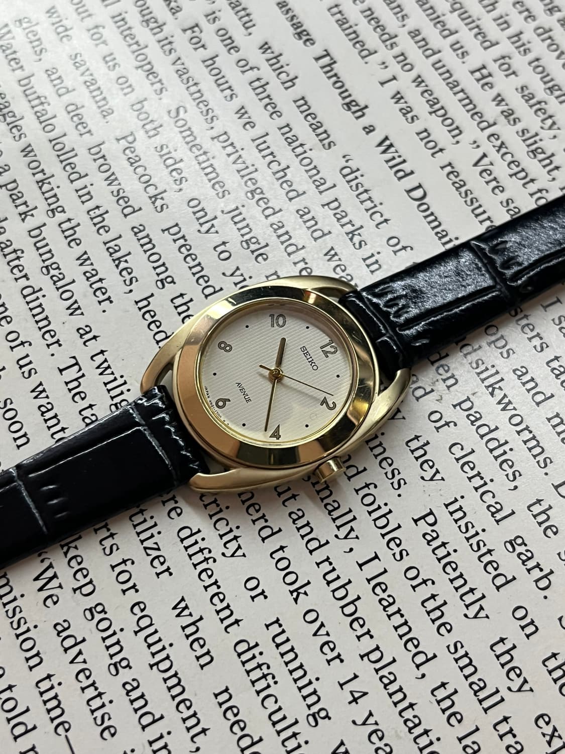 SEIKO AVENUE 레이디스 쿼츠 상품이미지2