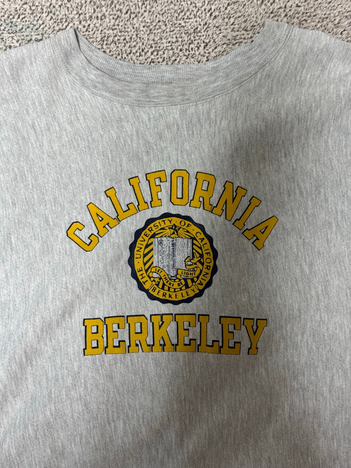 1980s 'UC BERKELEY' 챔피온 리버스위브 상품이미지2