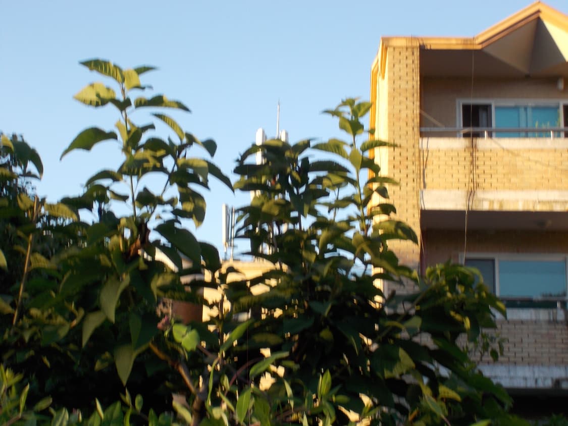 급처)니콘쿨픽스s01 한국어 상품이미지7