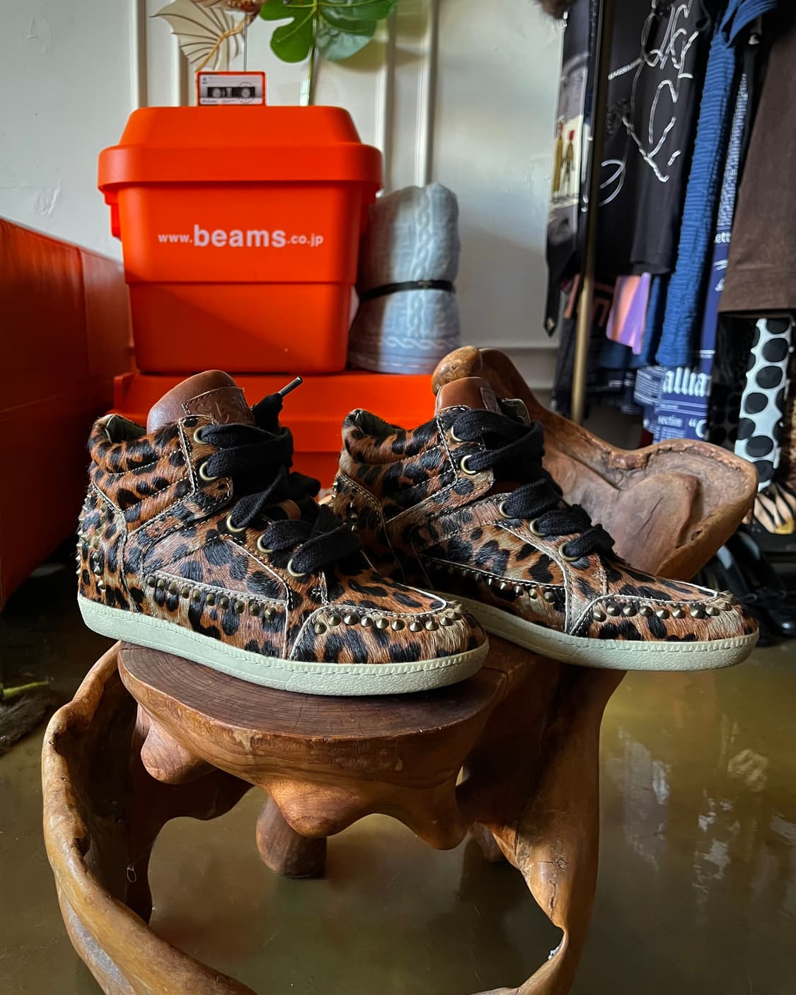 ASH Leopard Calf-Hair Studs Sneakers 상품이미지5