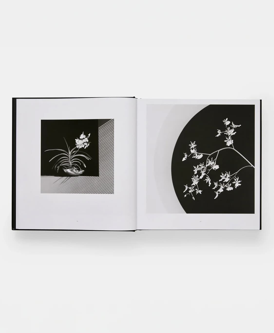 미개봉 / MAPPLETHORPE 로버트 메이플소프 플로라 사진집 상품이미지8