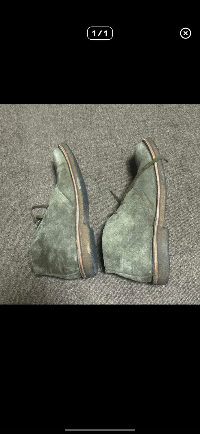 아스토플렉스 그린플렉스 270 상품이미지2