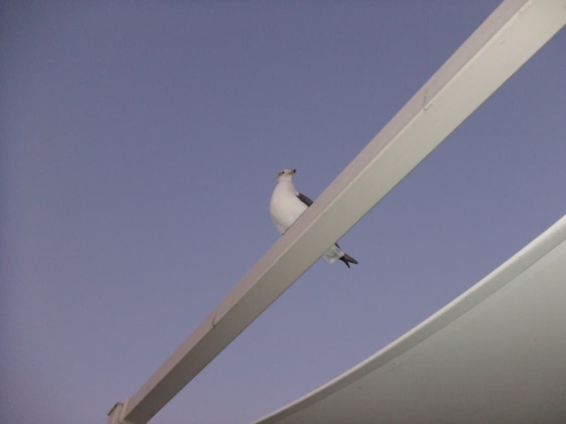 FUJIFILM 파인픽스 Z5 상품이미지9