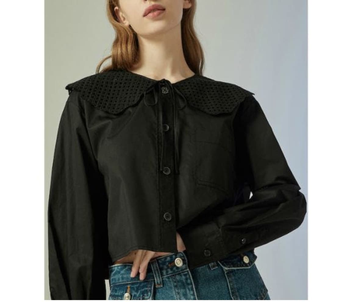 CC콜렉트 펀칭 자수카라 숏 블라우스 상품이미지2