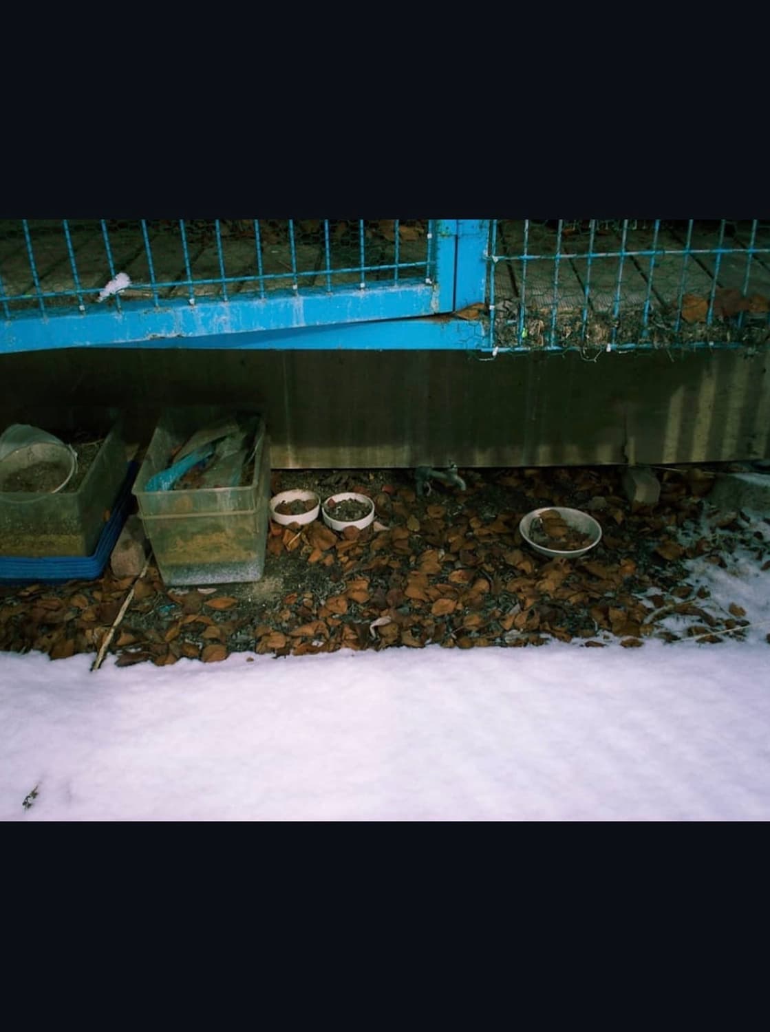 코닥 이지쉐어 c530 디지털카메라 상품이미지9