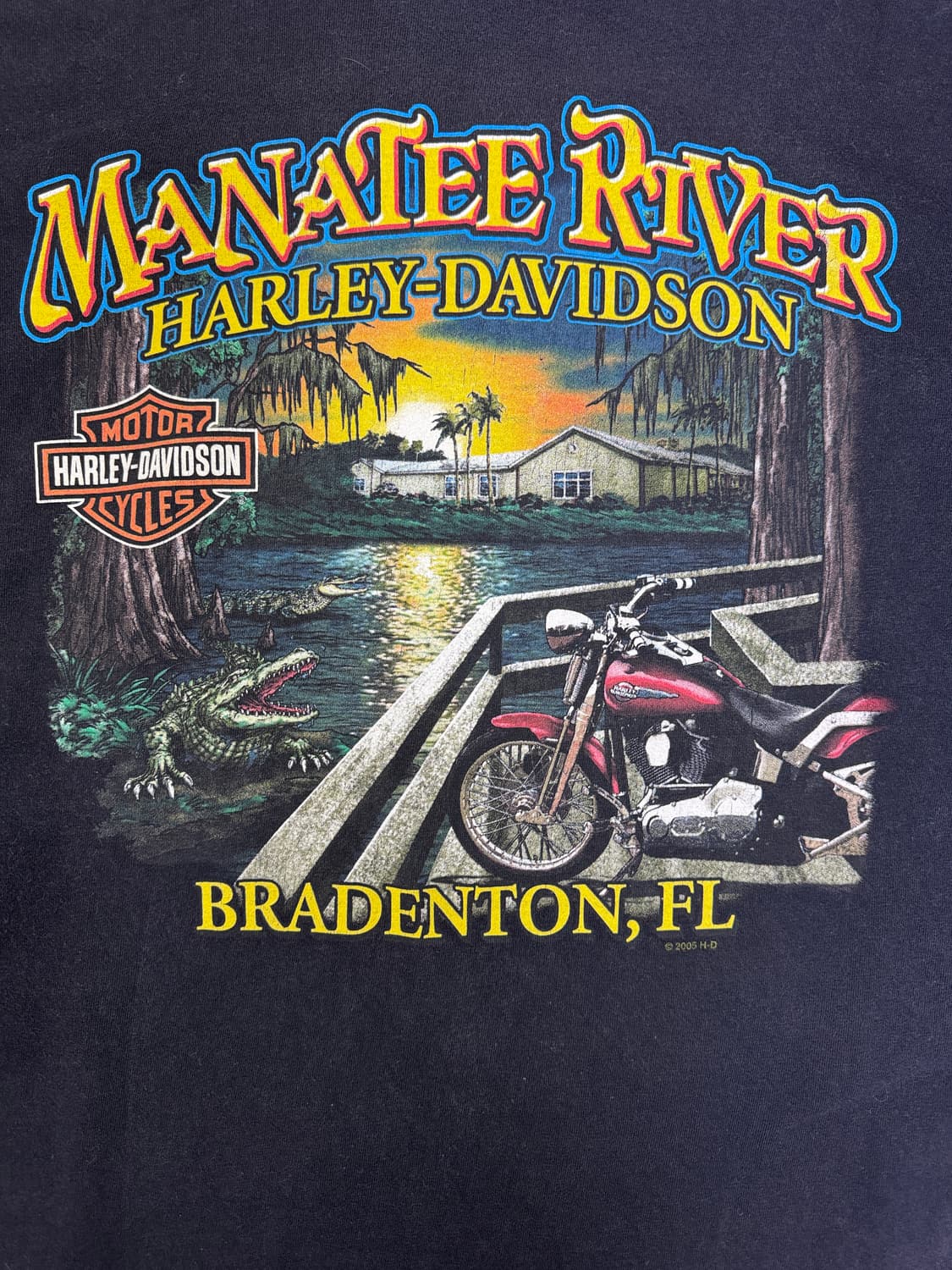 빈티지 할리데이비슨 HARLEY DAVIDSON 그래픽 티셔츠 XL 상품이미지6