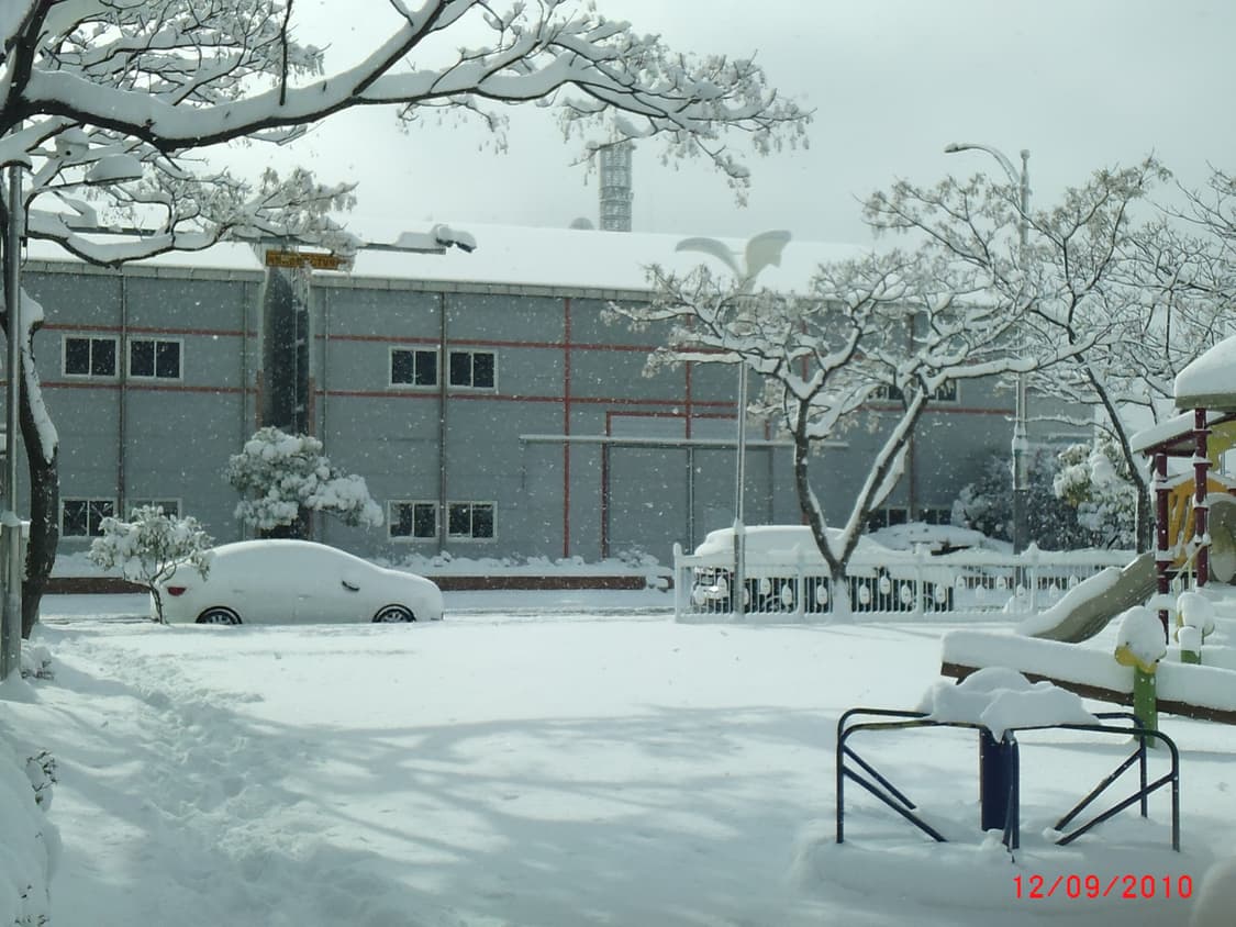 독일 아그파 AgfaPhoto Eclipse Explorer 상품이미지7